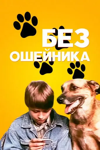 Without a Collar (1995)