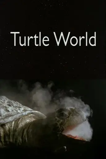 Turtle World (1998)