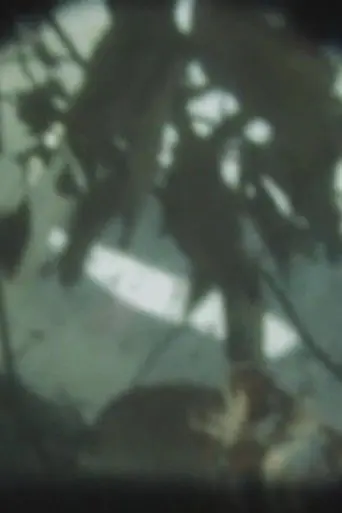 INITIAL VAPOR (2012)
