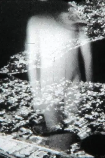 Conjectures (2013)