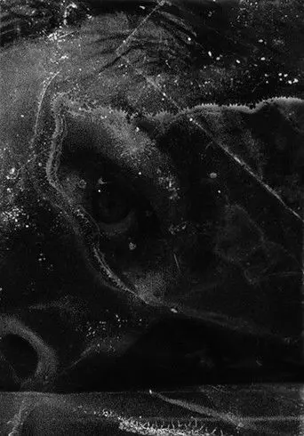 After Psycho Shower (2010)