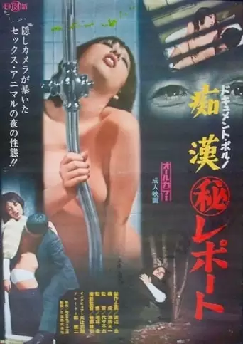 Document Porno: Chikan Maruhi Report (1973)