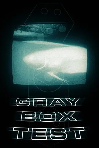 Grey Box Test (2026)