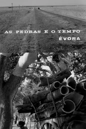 As Pedras E O Tempo (1961)