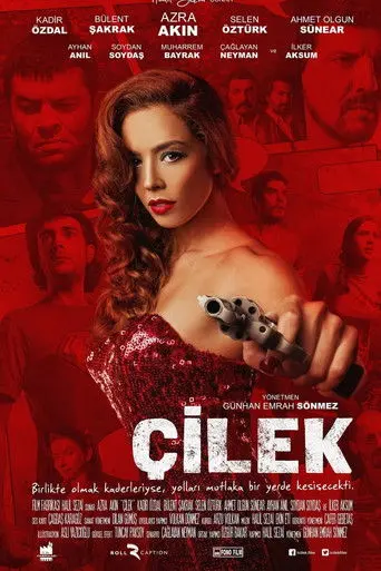 Çilek (2014)