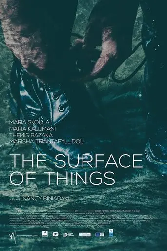 The Surface Of Things (2017)