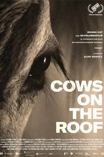 Cows on the Roof (2020)