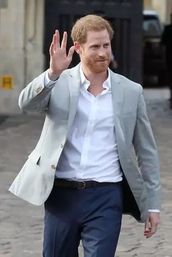 Harry: The Troubled Prince (2020)