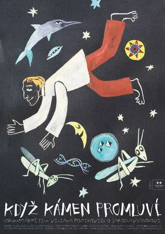 Když kámen promluví (2011)