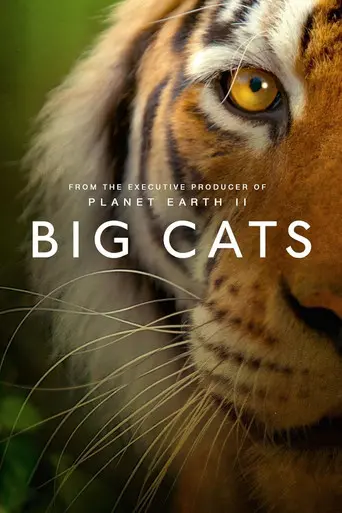 Big Cats (2019)