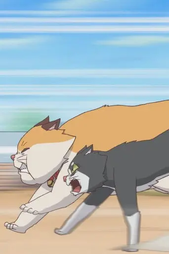 Cats Run (2012)
