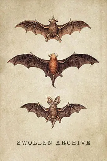 Swollen Archive (2008)