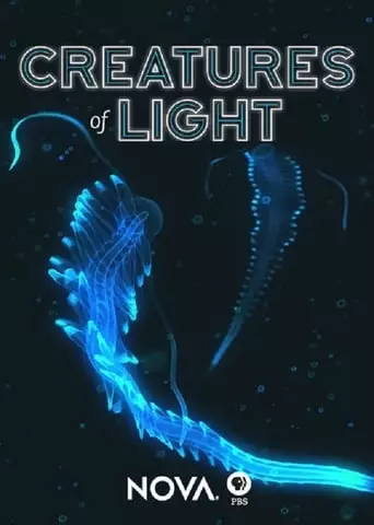 Creatures of Light (2015)