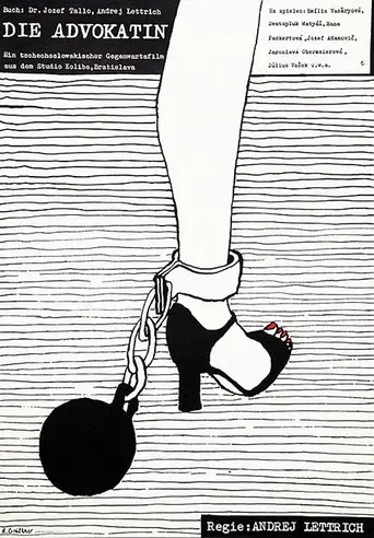 The Lawyer (1978)