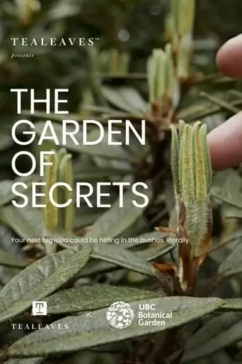 The Garden Of Secrets (2019)