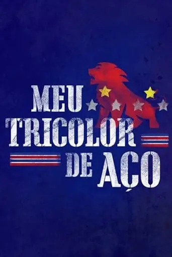 Meu Tricolor De Aco (2018)