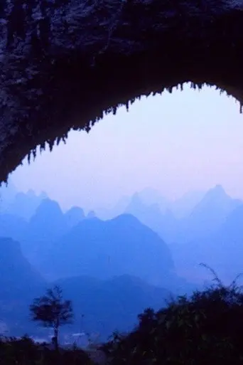 What about China? (2020)
