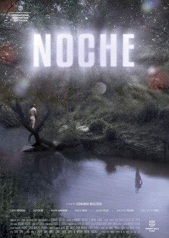 Night (2013)