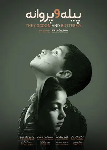 The Cocoon & Butterfly (2020)