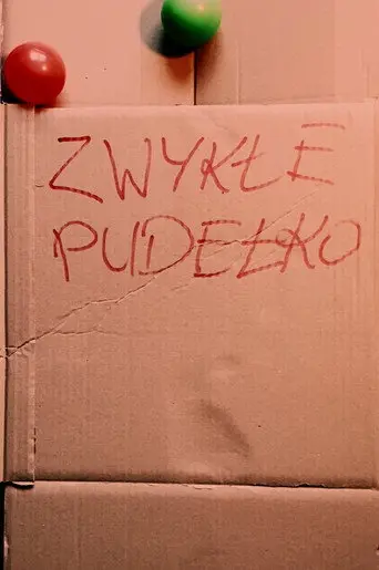 ORDINARY BOX (2026)