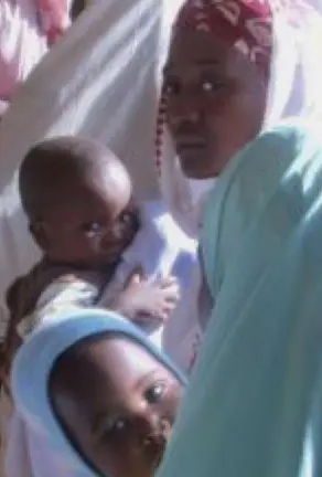 The Edge of Joy (2010)