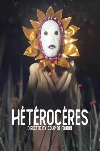 Moths (2026)