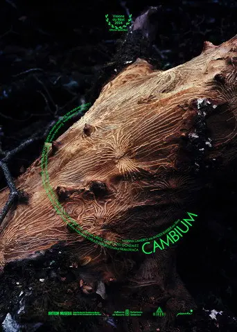 Cambium (2024)