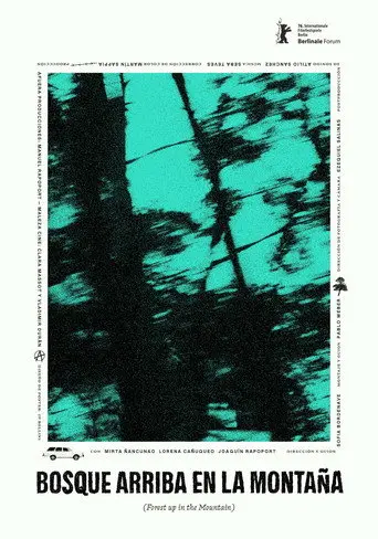 Forest up in the Mountain (2026)