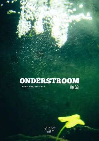 Undercurrent - 暗流 (2025)