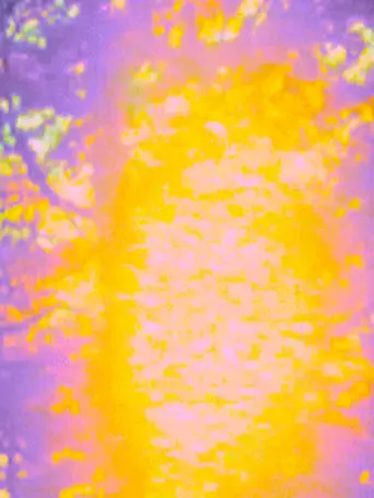 Dream (2000)