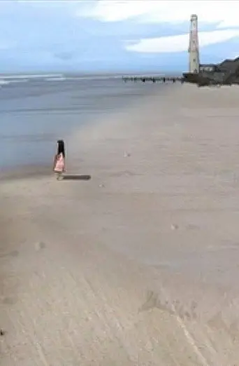 The Eyes of the Lighthouse (2010)