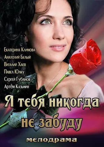I'll Never Forget You (2013)