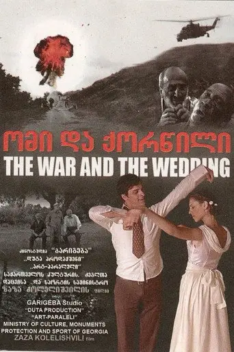 The war and the wedding (2010)