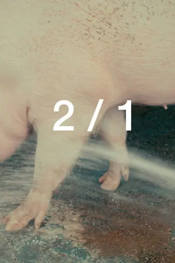 2/1 (2024)