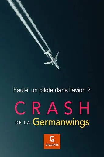 Faut-il un pilote dans l'avion ? (2016)