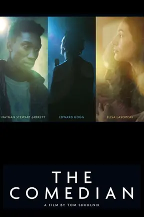 The Comedian (2012)