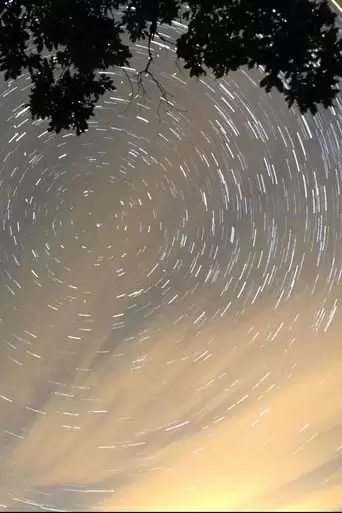 Curve The Night Sky (2022)