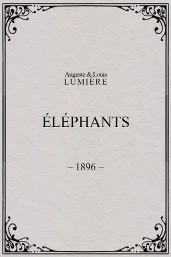 Elephants (1896)