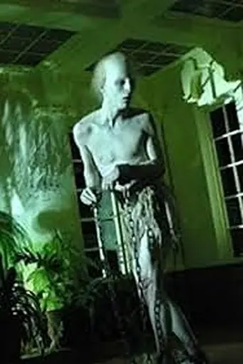 Coffins of Light (2009)