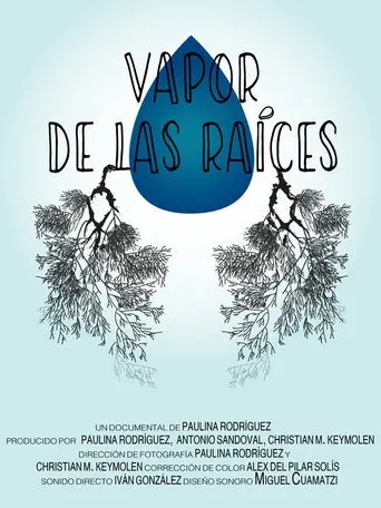 Vapor de las raíces (2020)
