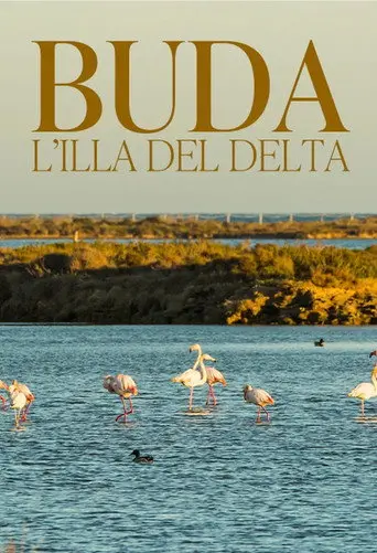 Buda, l'illa del Delta (2014)