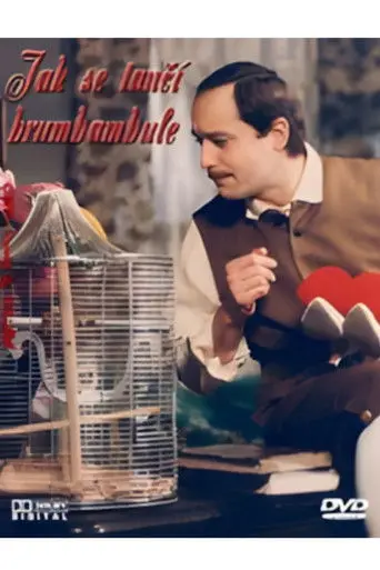 Jak se tančí brumbambule (1985)