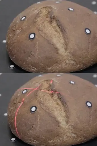 Bread. Gene (2014)