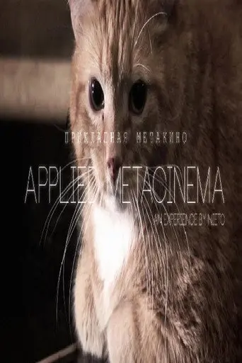 Metacinema appliqué (2014)