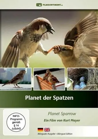Planet Der Spatzen (2017)
