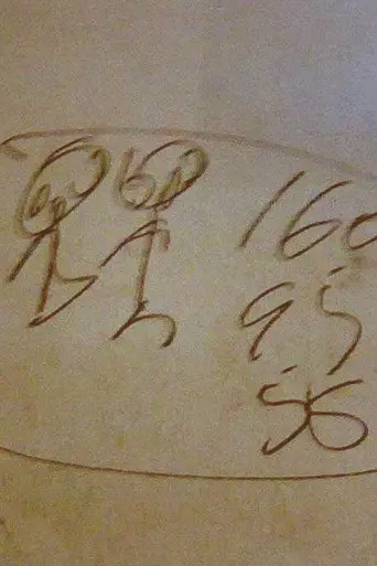 Yangtze Scribbler (2012)