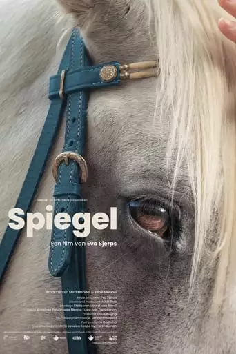 Spiegel (2023)