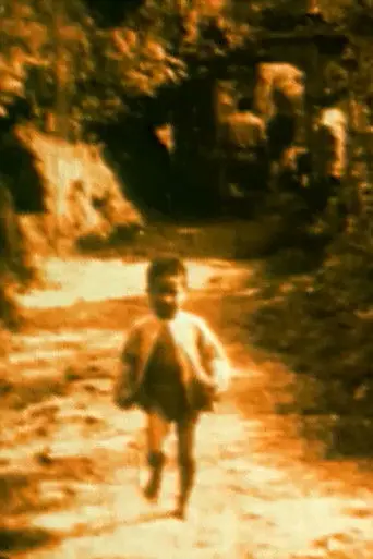 Electric Fragments No. 2 - Vietnam (2002)