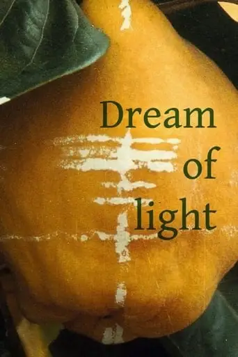 Dream of Light (1992)