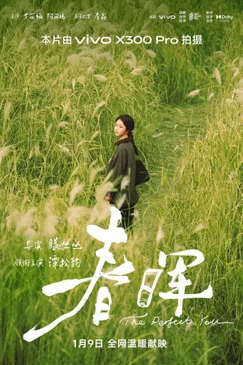 春晖 (2026)